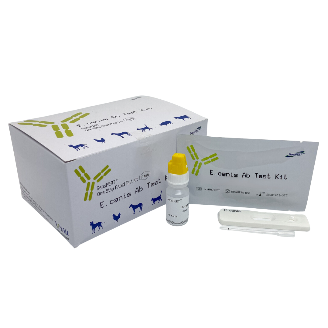Kit 10 Test Erlichia Canina en Sangre - Presentación del producto - RapidTest Chile