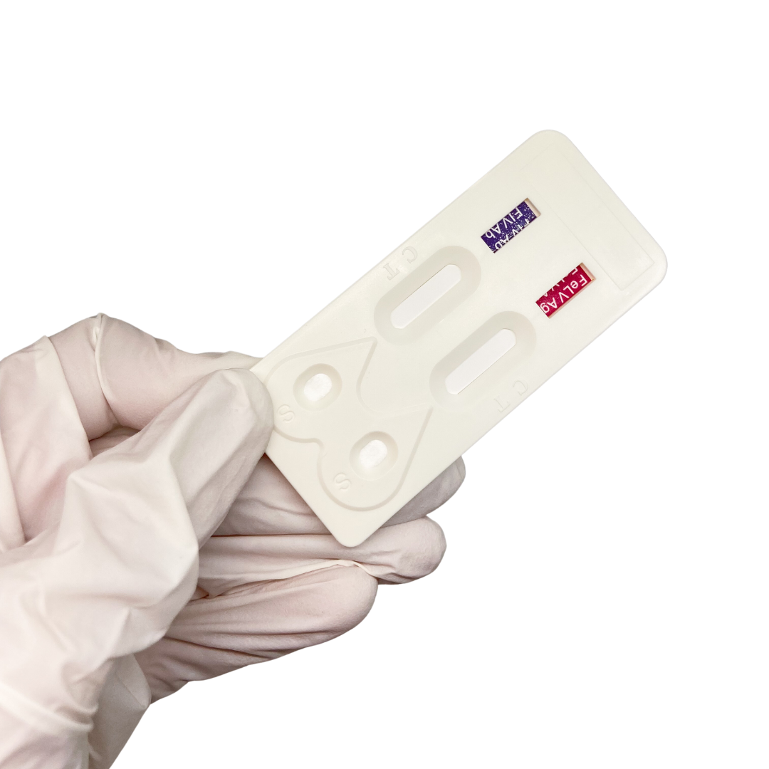Kit 10 Test Inmunodeficiencia + Leucemia Felina en Sangre - Vista del cassette - RapidTest Chile