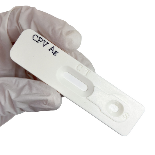 Kit 10 Test Parvovirus Canino en Heces - RapidTest Chile