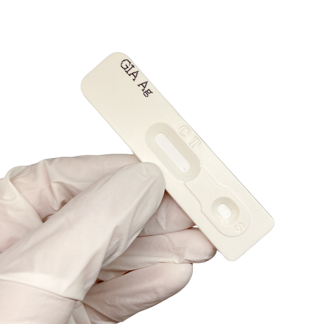 Test Giardia Canina en Heces - RapidTest Chile